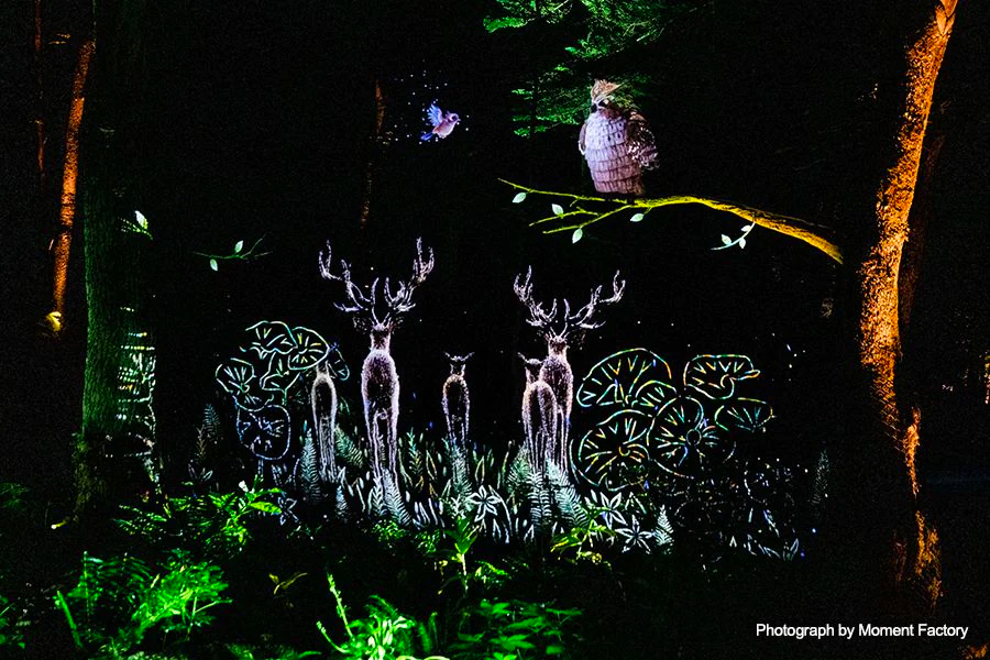 案例｜金百博为壮观的Kamuy Lumina魔法夜行旅游项目提供配乐设备